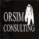 Profilový obrázek skupiny Orsim Consulting