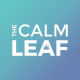 Foto des Teams The Calm Leaf